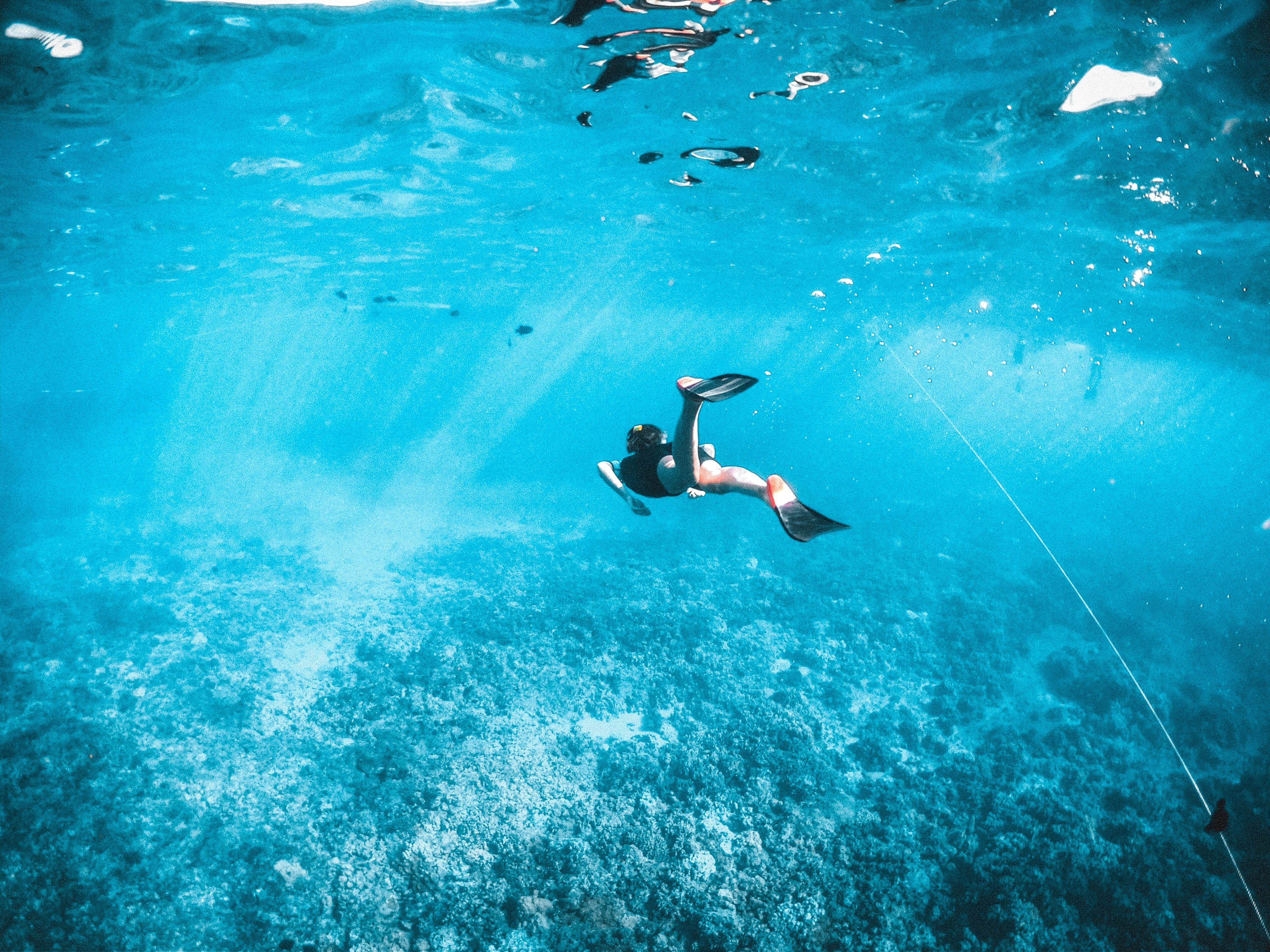 Subtle cinematics snorkel unsplash
