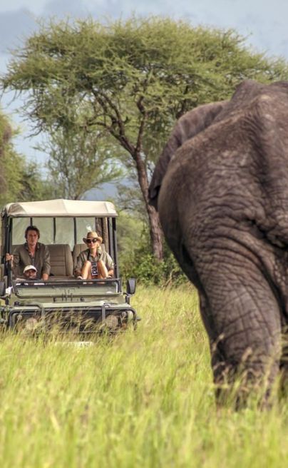 Forest Chem Chem Tanzania Game drive