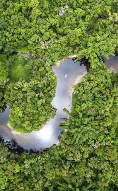 Anavilhanas Lodge Brazil river