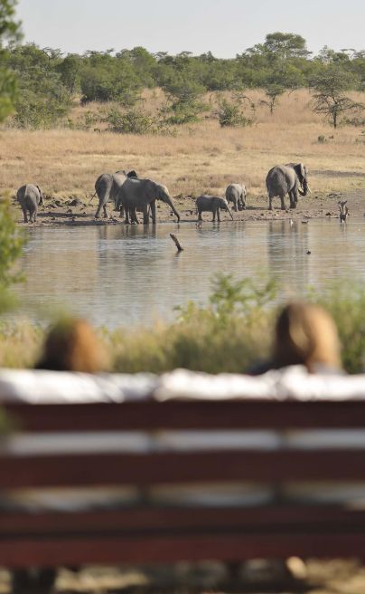Kicheche Laikipia Camp waterhole