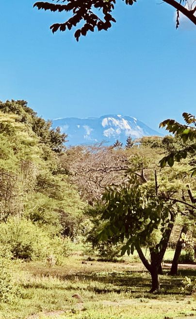 Mt Meru Game Lodge TZ Kilimanjaro View