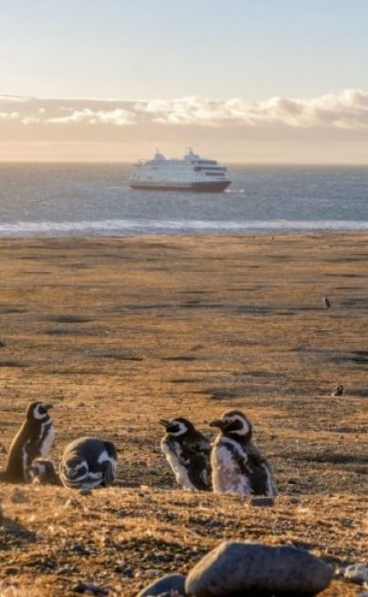 Australis cruise small