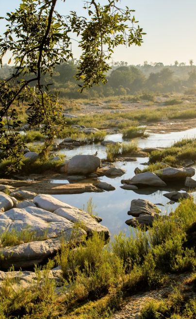 Singita Boulders Lodge 10