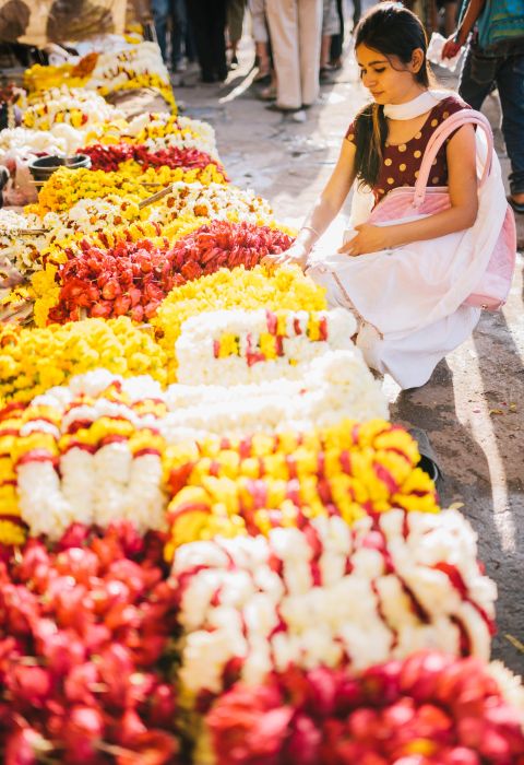Wholesale Flower Market Jaipur
