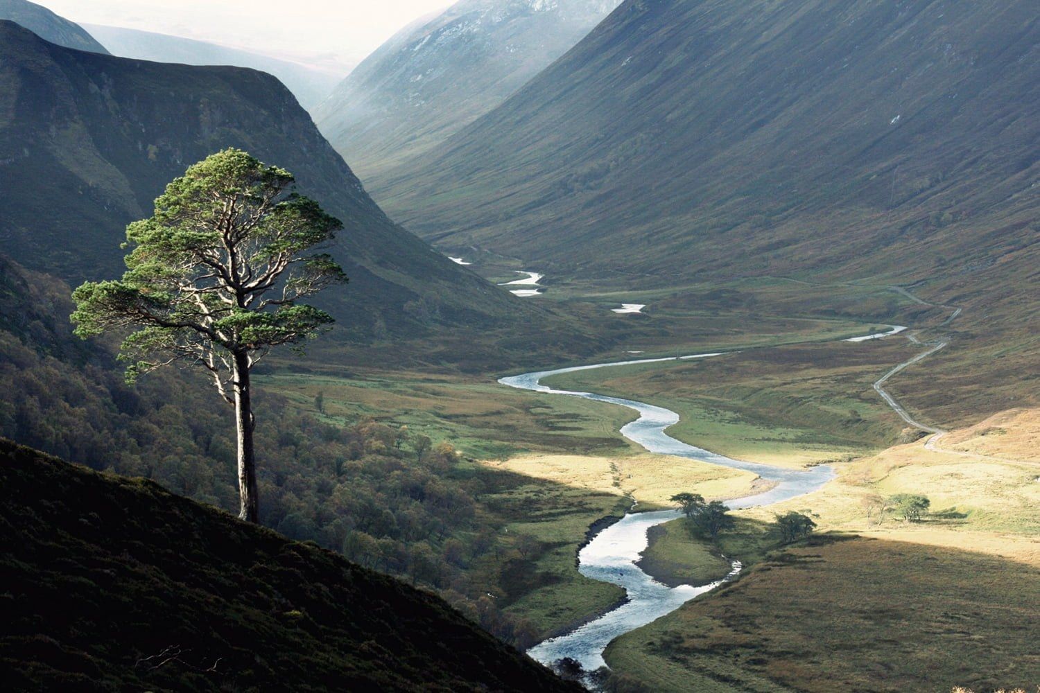 Alladale river view